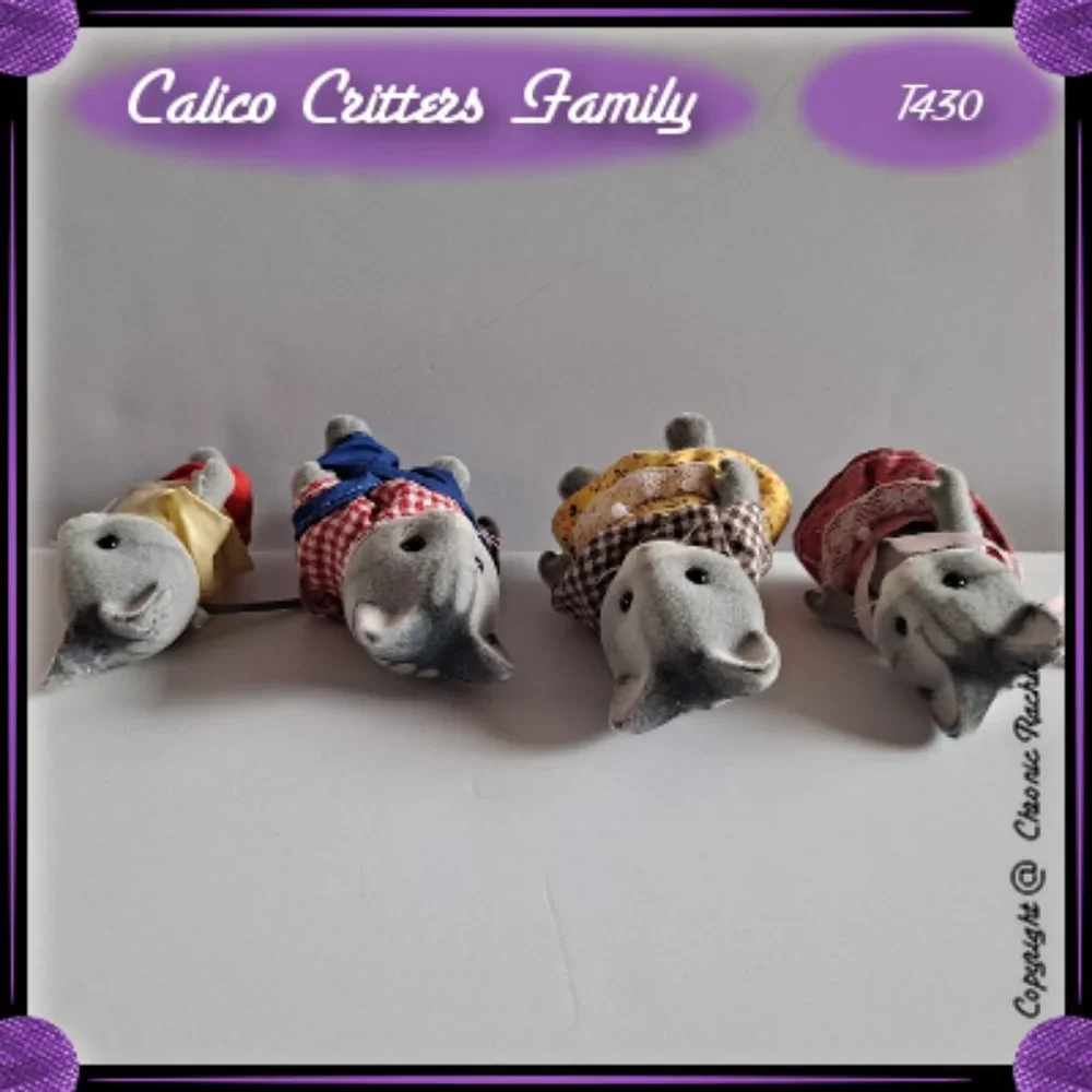 Fisher Cat Family